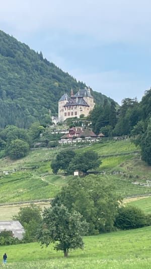 Château de Menthon-Saint-Bernard - Menthon-Saint-Bernard - 8