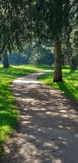 Parc de Parilly et parenthèse feuillue - Veronique - 4