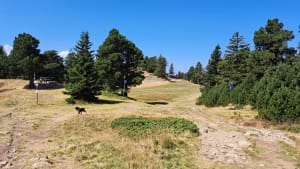 Crêt de la Perdrix au Crêt du Rachat, plateau du Pilat - La Valla-en-Gier - 8