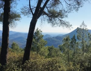 Balade sur le chemin de la Rouvière - Bagnols-en-Forêt - 7