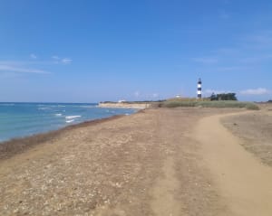 La petite boucle de la pointe - Saint-Denis-d'Oléron - 8