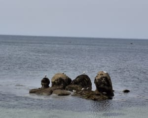 De la plage de Ster Greich à la pointe de la Jument - Trégunc - 7
