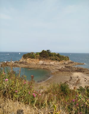 Paysages de Saint-Quay-Portrieux - Saint-Quay-Portrieux - 7