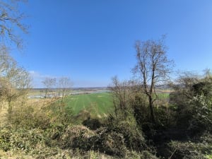 Entre terre et Seine, à Norville - Norville - 7