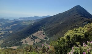 Tour Madeloc - Collioure - 21