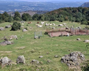 Pic de Miqueu par la cabane d'Aoulhet - Saint-Pé-de-Bigorre - 7