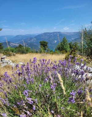 Le sommet de Destourbes - Castellane - 11