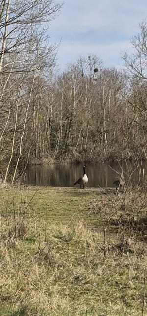 Balade au Pâtis. - Meaux - 10