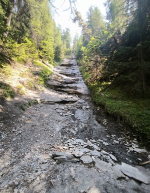 Découverte de Landry et de sa nature savoyarde préservée - Lanslevillard - 4
