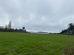 Promenade à l’île d’Arz - Île-d'Arz - 3