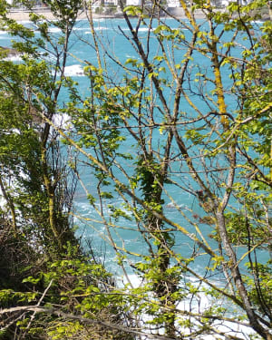 Paysages de Saint-Quay-Portrieux - Saint-Quay-Portrieux - 10