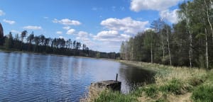Wyry - leśna pętla ze źródełkiem - Gostyń - 7