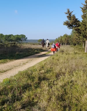Villetelle et moment hors du temps dans la garrigue - Villetelle - 22