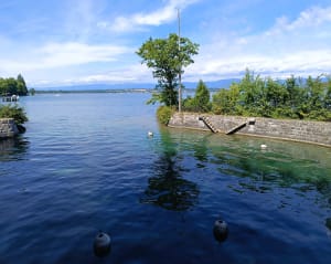 Sortie Séchex et bord du lac - Margencel - 3