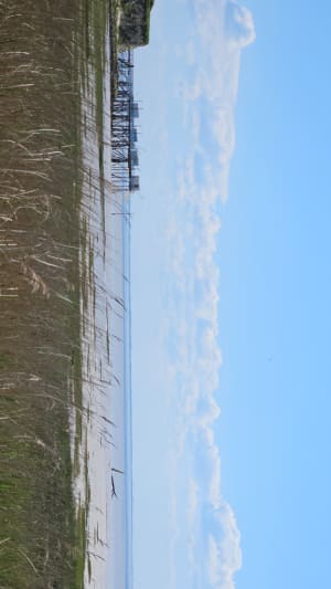 Barzan, Talmont sur Gironde en passant par les marais - Yohann - 8