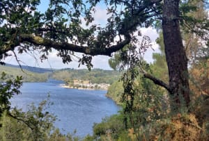 Balade au Lac de Guerlédan - Caurel - 6