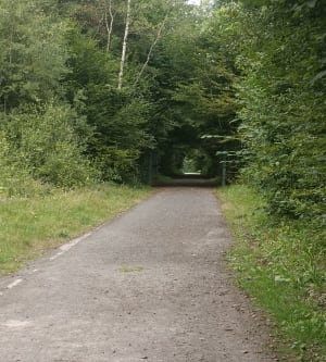 Réserve naturelle de Pantegnies - Pont-sur-Sambre - 8