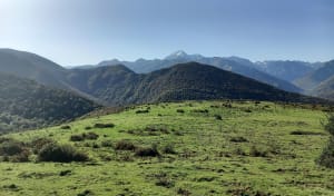 Boucle au départ du Col des Palomieres - Gerde - 36