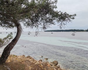Boucle complète autour de l'île de Sainte Marguerite - Cannes - 17
