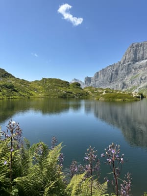 Lac de Pormenaz depuis le Lac Vert et magie des falaises des Fiz - Passy Plaine Joux - 4