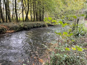 Chemin des Frênettes et bord de Saâne - Saint-Pierre-Bénouville - 4