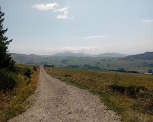 Tour du Mont d'Alambre - Les Estables - 6
