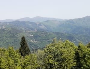 Le Tremontkopf et le Wissgrut depuis la Gentiane - Lepuix - 12
