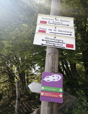 Le Tremontkopf et le Wissgrut depuis la Gentiane - Lepuix - 15