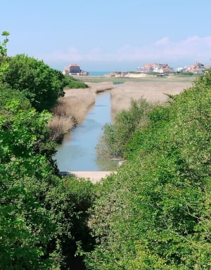 La Dune de la slack - Ambleteuse - 23