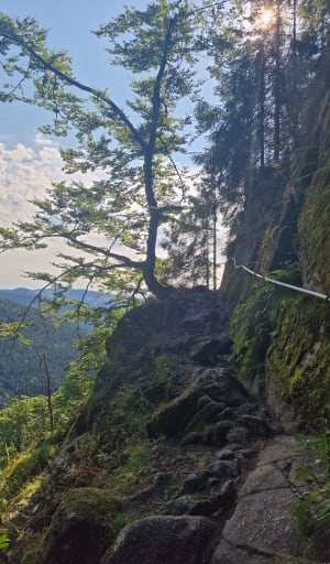 Le sentier des roches - Stosswihr - 46