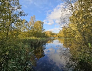 Promenade à Santes et observation des oiseaux - Houplin-Ancoisne - 16