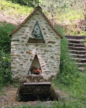 Moment de paix et bain d'air pur à Poigny-la-Forêt - Poigny-la-Forêt - 6