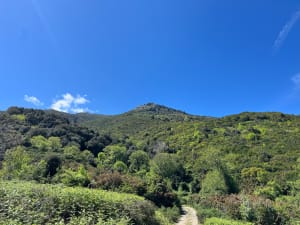Alentour de Borgo, par Pianiggiani - Borgo - 10