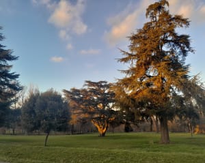 Petite boucle de Launac - Launac - 5