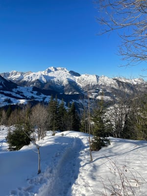Montée hivernale à la Tête de Cabeau - La Clusaz - 13