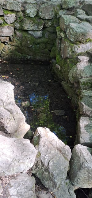 La fontaine de Barenton - Paimpont - 8