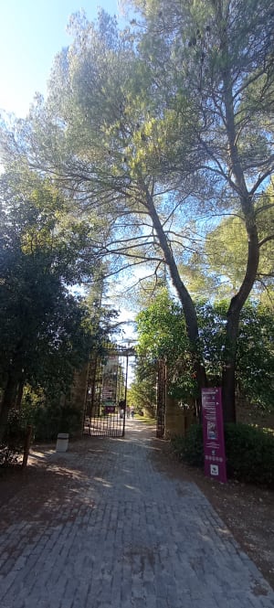 Boucle élégante autour du domaine de Restinclières - Prades-le-Lez - 17