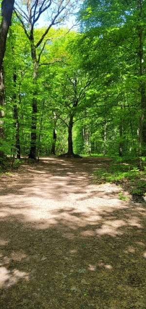Park Kultury i Wypoczynku - to się nazywają atrakcje! - Gliwice - 4