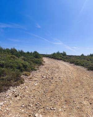 Terre, air, mer à la Couronne - Martigues - 10