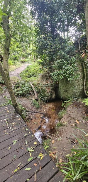 Vallée du Traouiero - Trégastel - 35