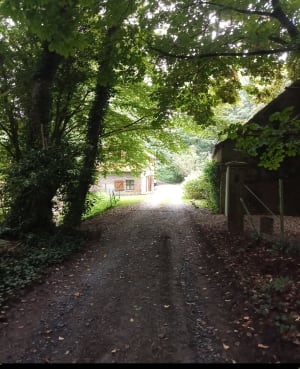 Balade entre villages depuis Wargnies-le-Petit - Wargnies-le-Petit - 5
