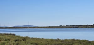 Sortie en Bord de canal et vignes - Agde - 3