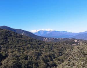 Autour de Maureillas, voie Domitia/Augusta et fort - Julien - 7