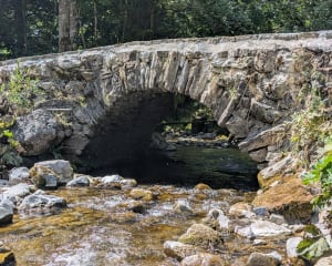 Balade à la Cascade d'Ardent depuis le lac de Montriond - Montriond - 15