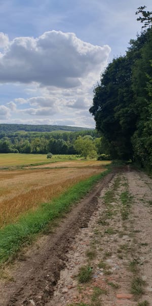 Autour de Barzy-sur-Marne - Barzy-sur-Marne - 6
