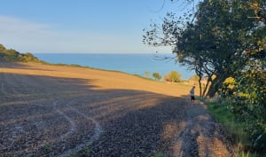 Balade Hautot Varengeville Pourville - Hautot-sur-Mer - 13