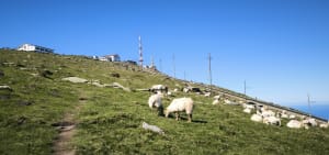 Boucle jusqu'à la Rhune depuis Sare - Sare - 73