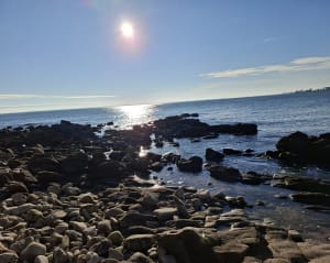 La Trinité sur mer et la pointe Ty Guard par le sentier cotier - La Trinité-sur-Mer - 22