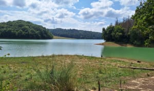 Bulle d'oxygène en forêt de Fabas et près du lac - Fabas - 4