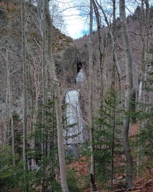 Van Péreyres naar de Ray Pic-waterval - Péreyres - 12